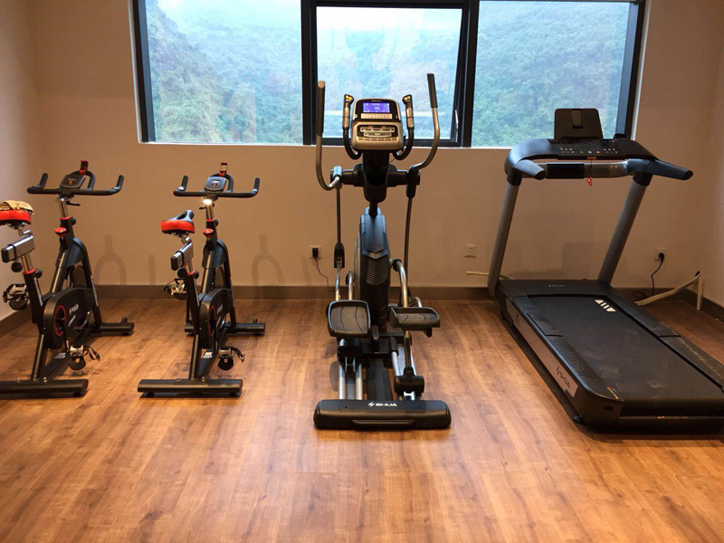 室内健身器材,单位健身器材,健身器材十大品牌-广西球王会体育健身器材有限公司