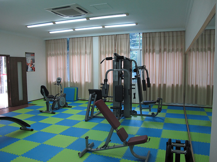 室内健身器材,单位健身器材,健身器材十大品牌-广西球王会体育健身器材有限公司