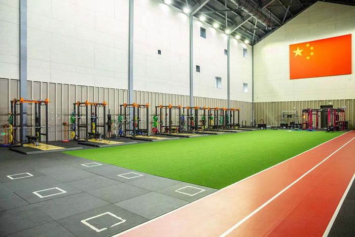 体能训练解决方案-广西球王会体育