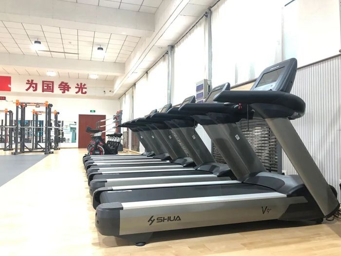 体能训练解决方案-广西球王会体育